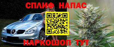 стаф Баксан
