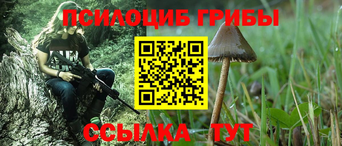 Псилоцибиновые грибы Magic Shrooms Камышин