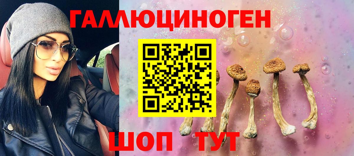 Псилоцибиновые грибы Psilocybe  Галлюциногенные грибы мухоморы  сколько стоит  Камышин  Вход с VPN 